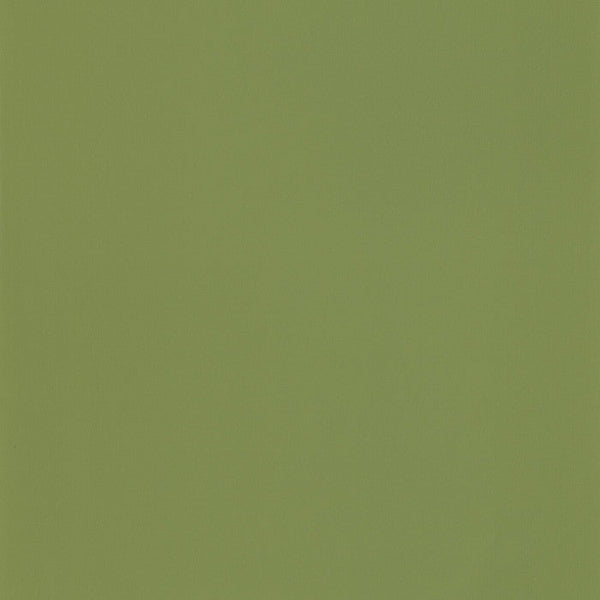 Sample - Uni Plain Wallpaper - Crocodile
