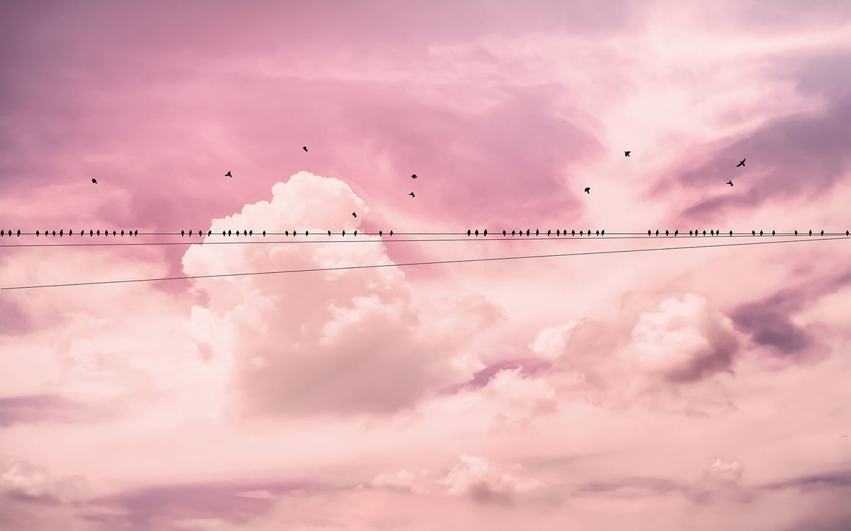 Cloud Wire - Custom Sized Wallpaper Mural (per m2)
