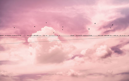 Cloud Wire - Custom Sized Wallpaper Mural (per m2)