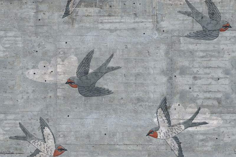 Concrete Swallows - Day - Custom Sized Mural Wallpaper (per m2)