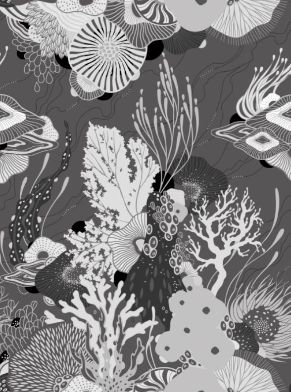 Coral's Coral Wallpaper