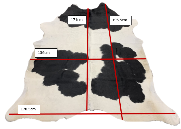 Cow Hides - Premium Grade - 10 colours