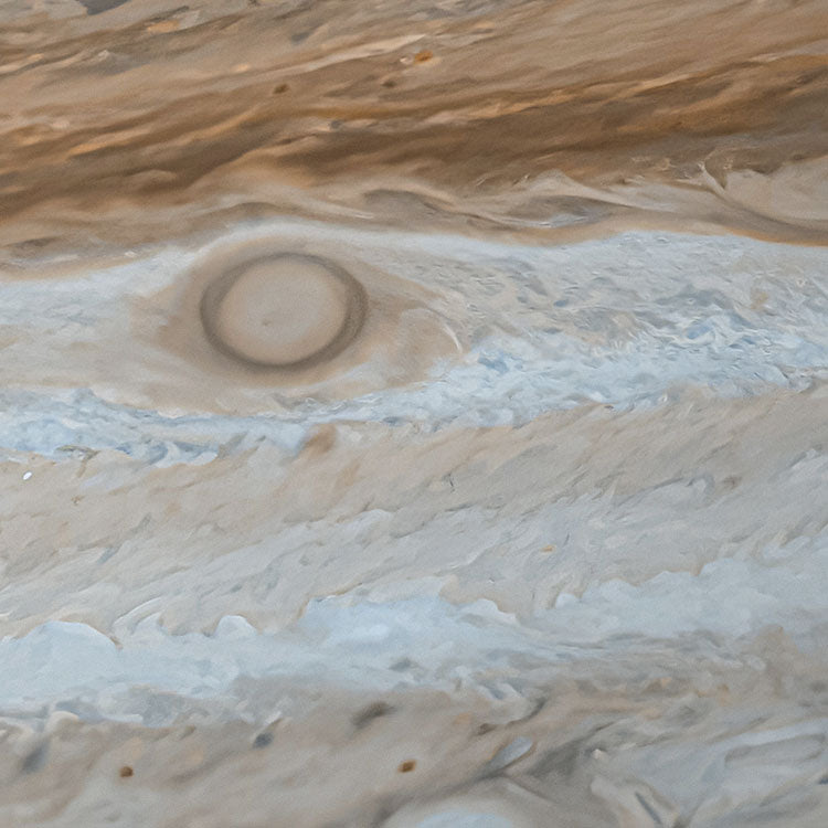Jupiter - Circular Mural - Self Adhesive