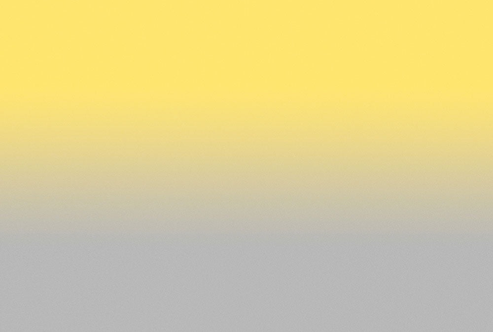 Colour Studio Ombre  - Yellow/Grey - Custom Sized Wallpaper Mural (per m2)