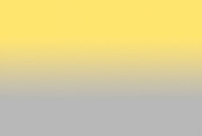 Colour Studio Ombre  - Yellow/Grey - Custom Sized Wallpaper Mural (per m2)