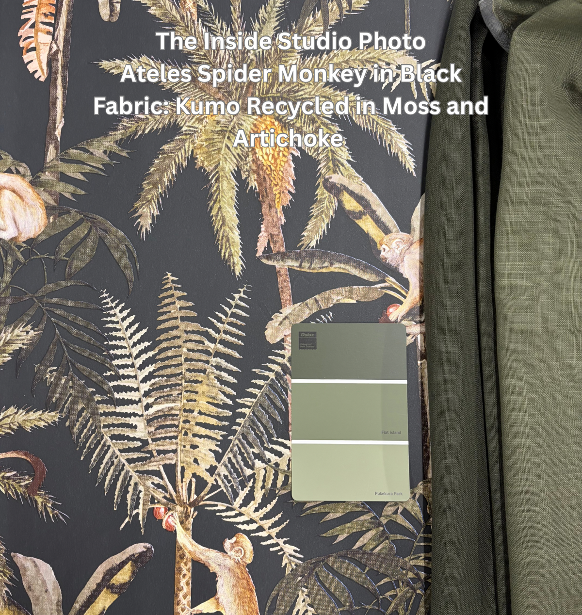 Sample - Ateles Spider Monkey Wallpaper - Black