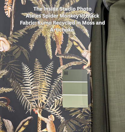 Sample - Ateles Spider Monkey Wallpaper - Black
