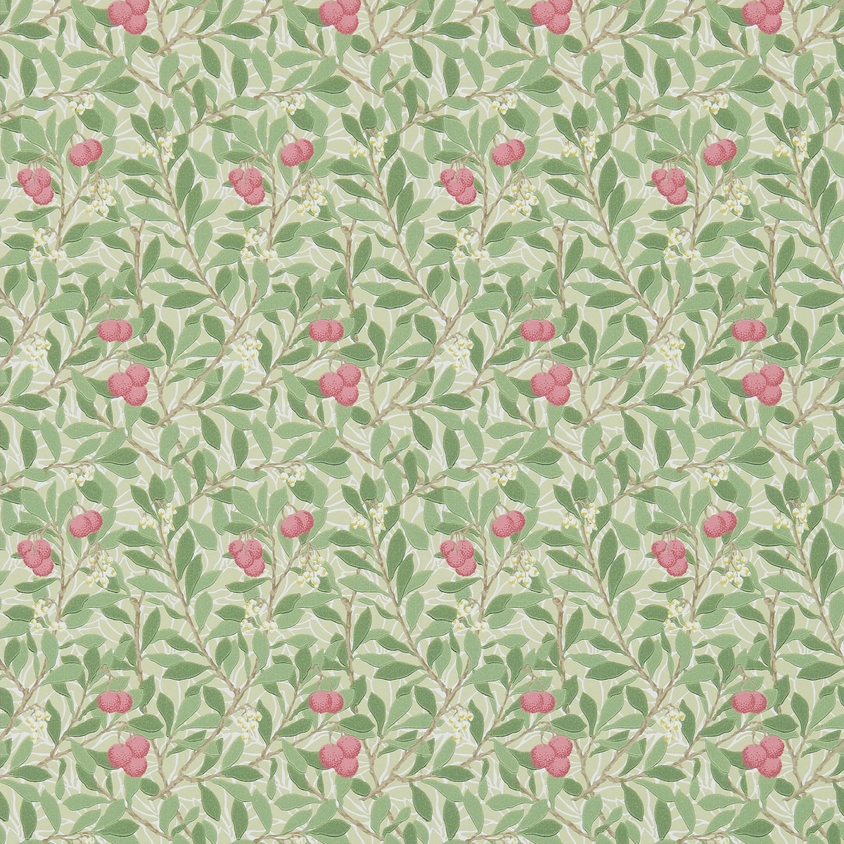 Sample - Arbutus by Morris Wallpaper - Olive/Pink