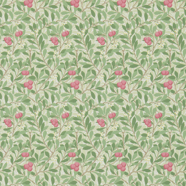 Sample - Arbutus by Morris Wallpaper - Olive/Pink