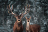 Deer Mural Series - Snowy Deer - Custom Sized Wallpaper Mural (per m2)