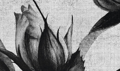 Spanish Rose - Custom Sized Wallpaper Mural (per m2)