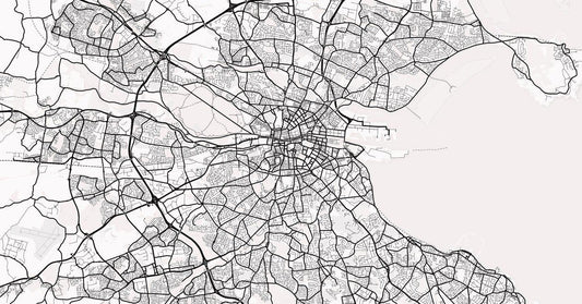 City Map Many Cities - Custom Sized Wallpaper Mural (per m2) - Dublin