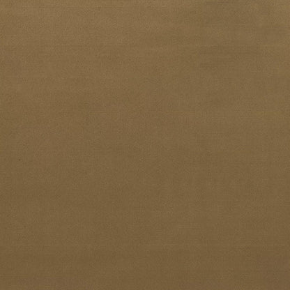Duke Velvet Fabric