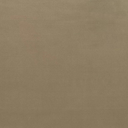 Duke Velvet Fabric
