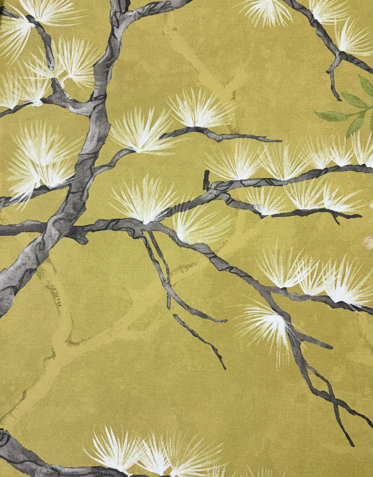 Sample – Pine Shadow Wisteria Wallpaper – Ochre/Lime