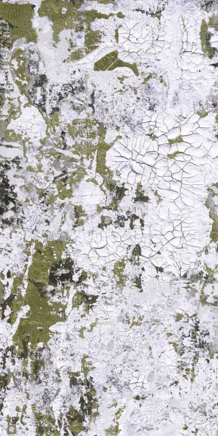 Safari Shabby Chic Wallpaper Mural - Patinated