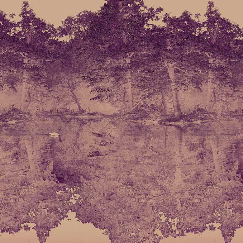 Toile De Jouy Mural Wallpaper - 7 Colours