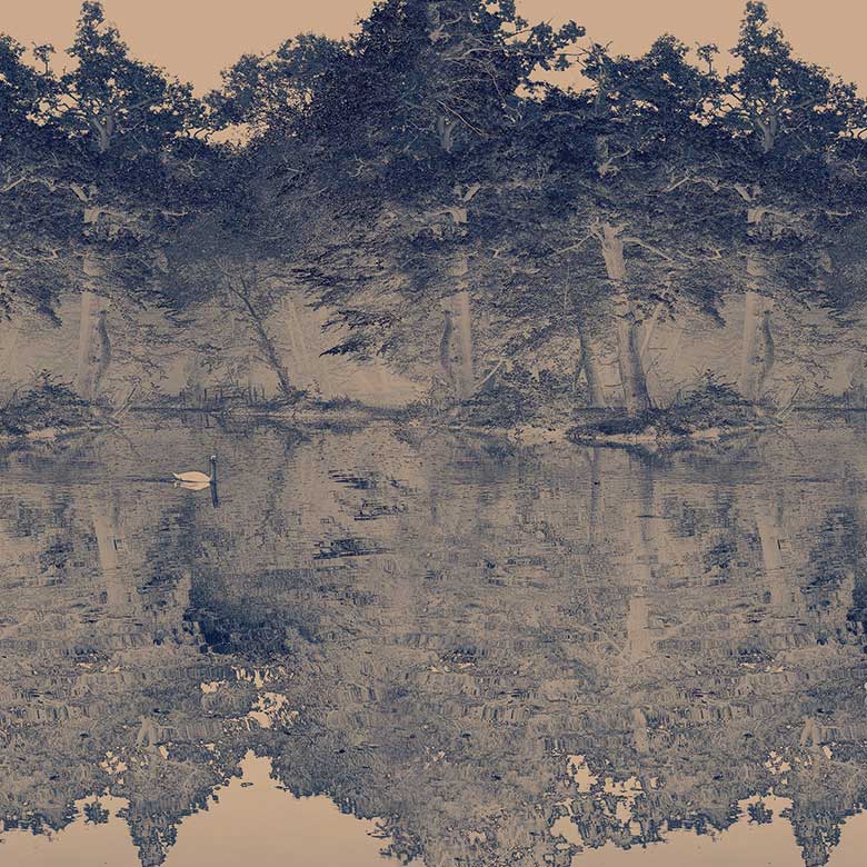 Toile De Jouy Mural Wallpaper - 7 Colours