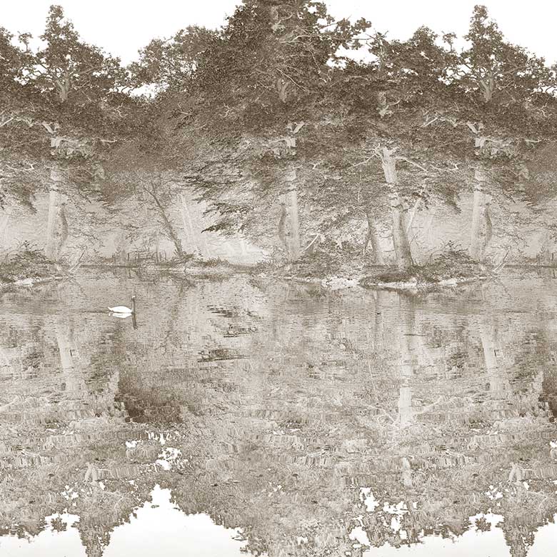 Toile De Jouy Mural Wallpaper - 7 Colours