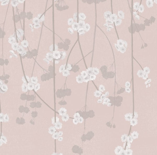 Sample - Cherry Blossom Wallpaper - Pink