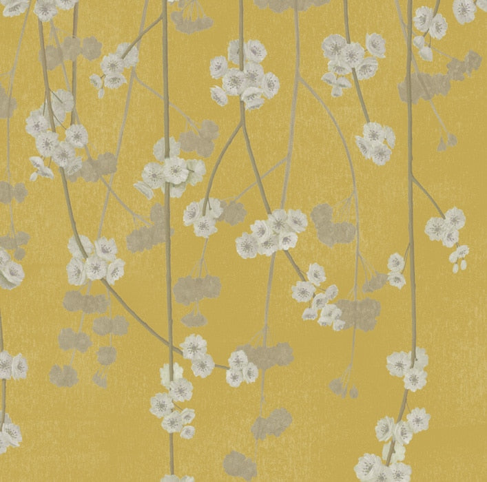 Cherry Blossom Wallpaper - Apple