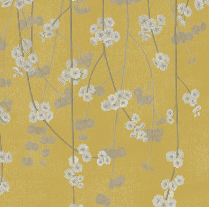 Cherry Blossom Wallpaper - Apple
