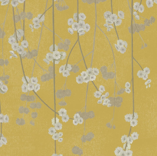 Cherry Blossom Wallpaper - Apple