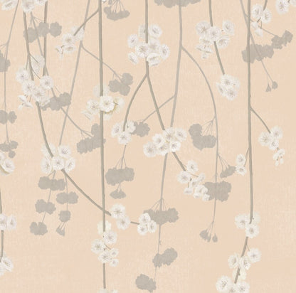 Cherry Blossom Wallpaper - Peach