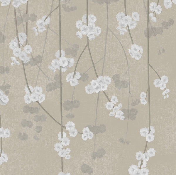 Sample - Cherry Blossom Wallpaper - Sand