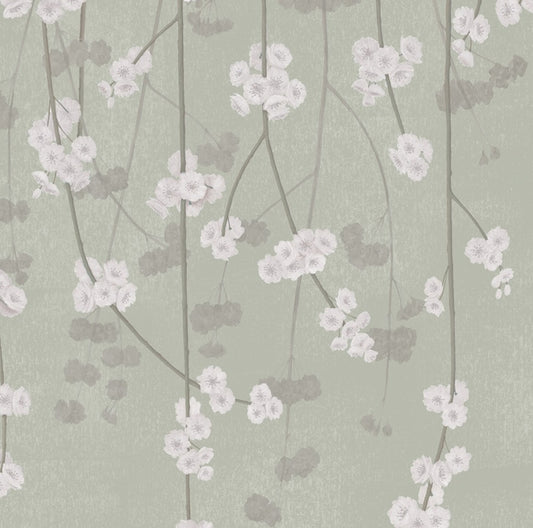 Cherry Blossom Wallpaper - French Green