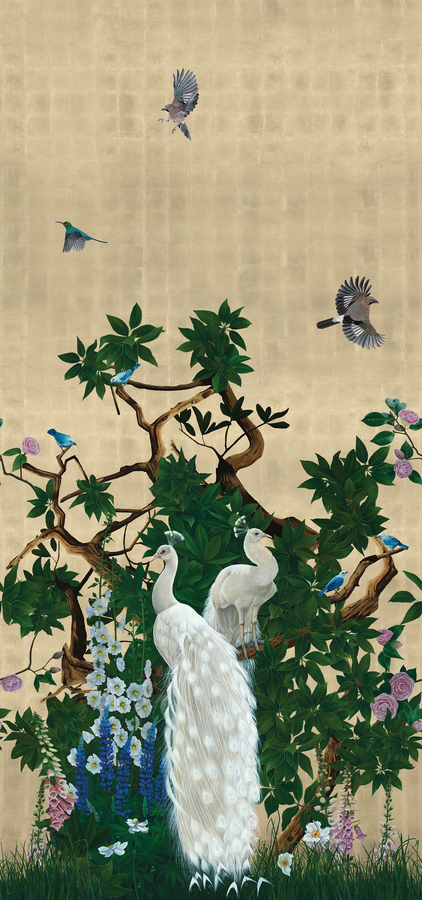Vera's Garden - Peacock Wallpaper - Tuscan