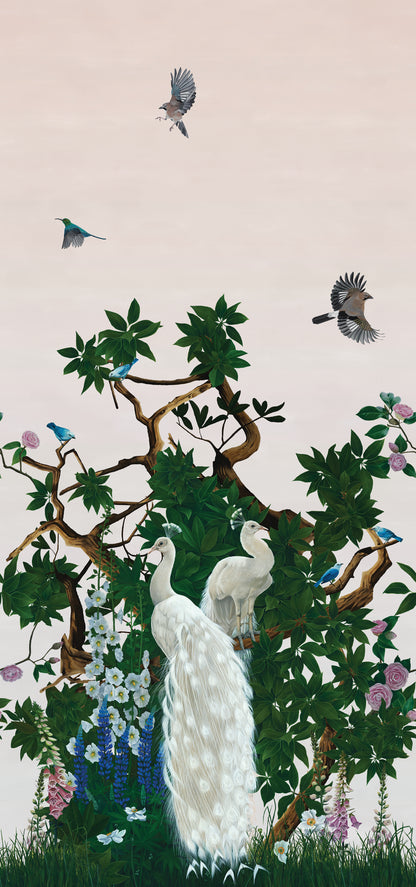 Vera's Garden - Peacock Wallpaper - Sunrise