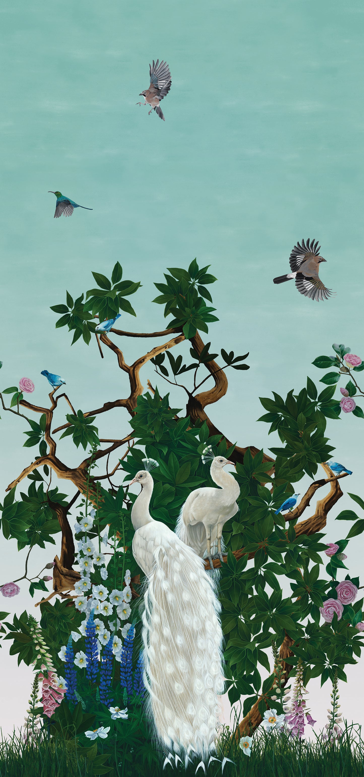Vera's Garden - Peacock Wallpaper - Aquamarine