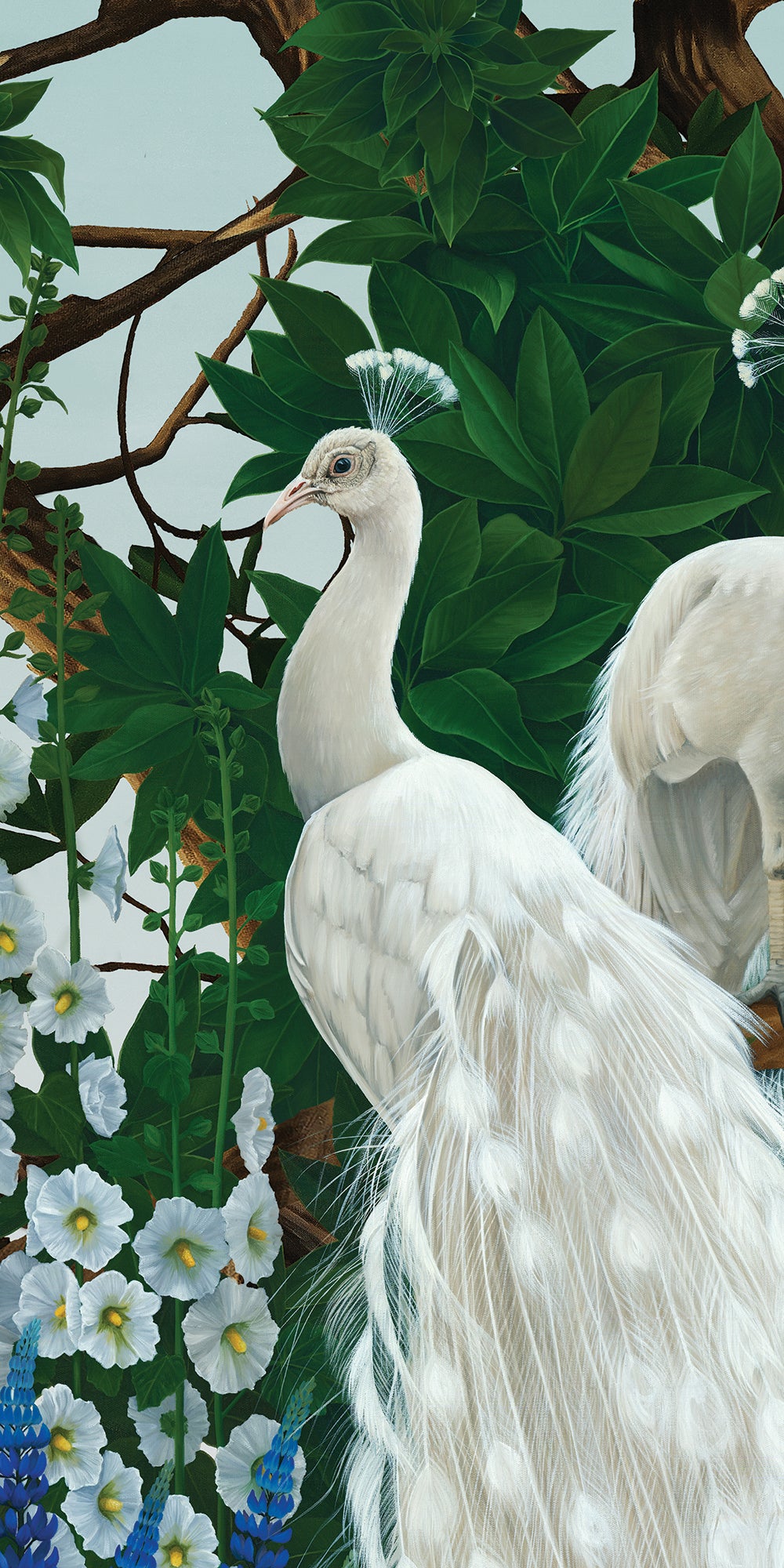 Vera's Garden - Peacock Wallpaper - Aquamarine