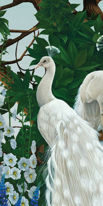 Vera's Garden - Peacock Wallpaper - Aquamarine