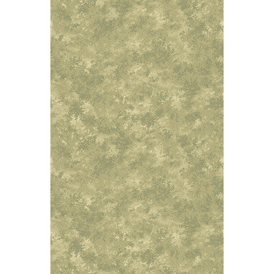 Mulberry Forest Wallpaper by Mulberry Home - Misty Morning