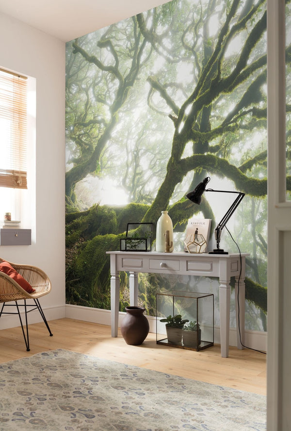 Sample – Forgotten Forest - Custom Sized Wallpaper Mural (per m2)