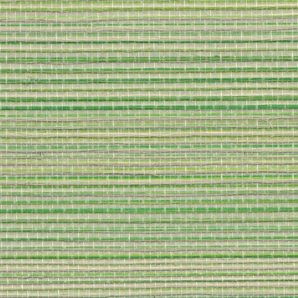 Sample - Agave Grasscloth Wallpaper - Emerald Green