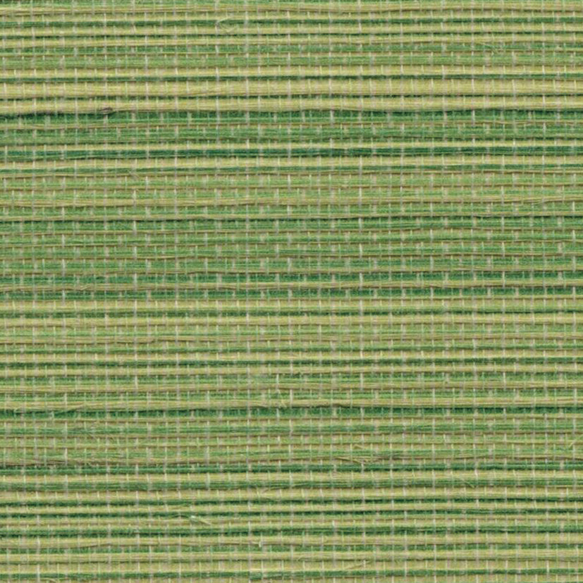 Agave Grasscloth Wallpaper - Apple Green