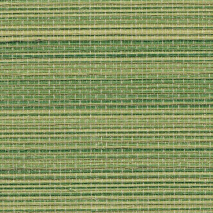 Agave Grasscloth Wallpaper - Apple Green