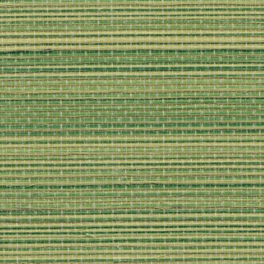 Agave Grasscloth Wallpaper - Apple Green