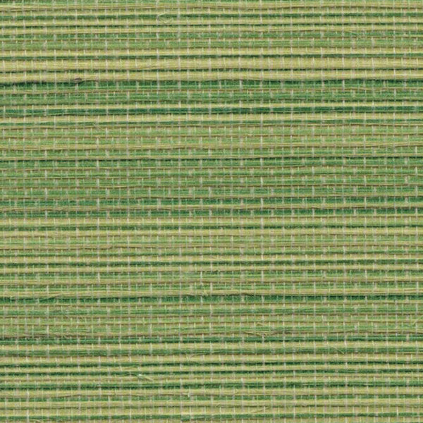 Sample - Agave Grasscloth Wallpaper - Apple Green
