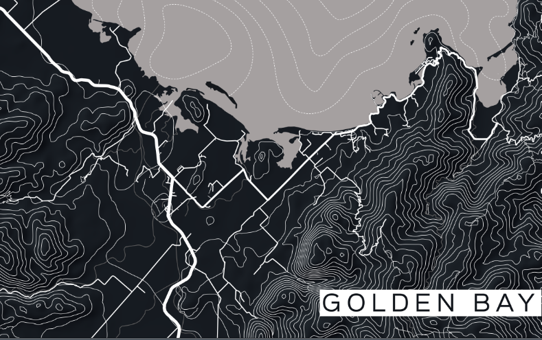 NZ or AU Stylised Maps - Custom Sized Wallpaper Mural (per m2)
