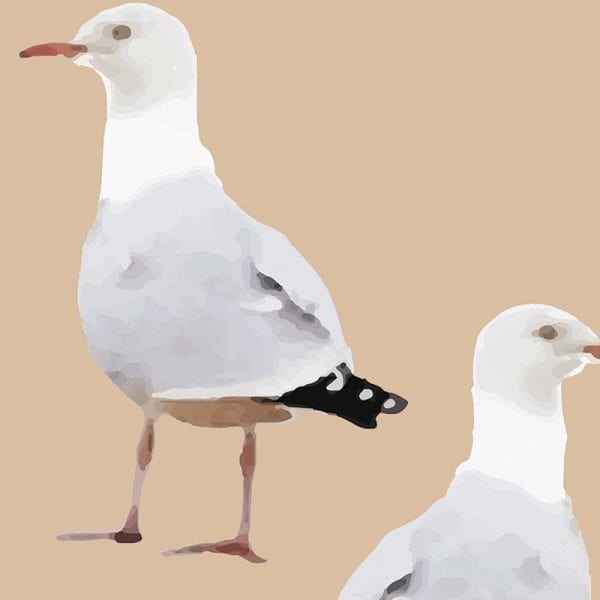 Two's Company Seagull Wallpaper - Coral Flower