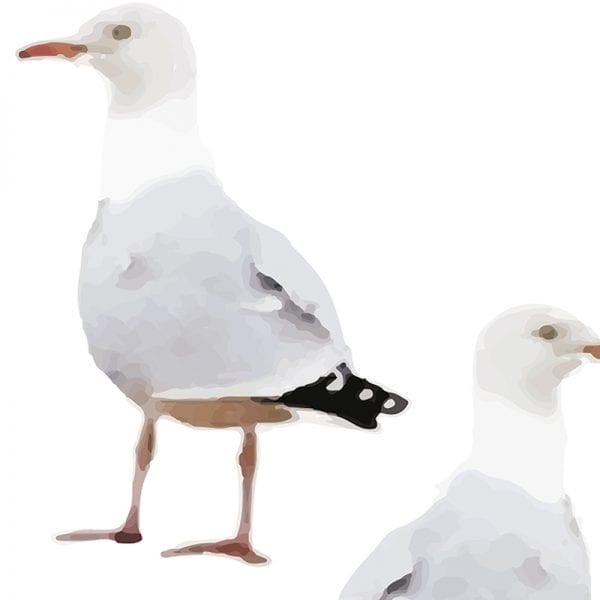 Two's Company Seagull Wallpaper - Squid Ink