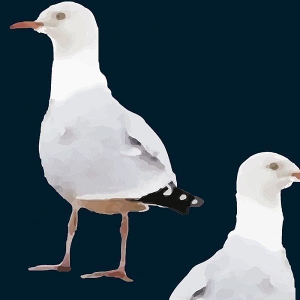 Sample – Two's Company Seagull Wallpaper - Viking Blue