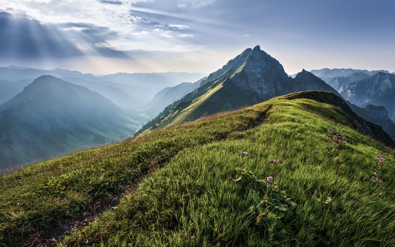 Green Mountains - Custom Sized Wallpaper Mural (per m2)