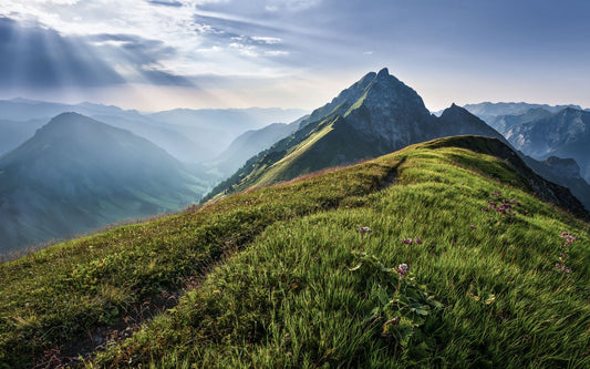 Green Mountains - Custom Sized Wallpaper Mural (per m2)