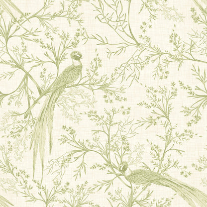 Bird Toile Wallpaper - Sage