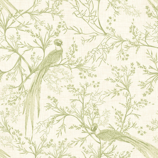 Bird Toile Wallpaper - Sage